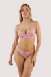 Ziggy Pink Lace and Spotted Mesh Brief Fashion