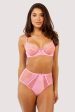 Ziggy Pink Lace and Spotted Mesh High Waisted Brief Online Hot Sale