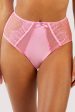 Ziggy Pink Lace and Spotted Mesh High Waisted Brief Online Hot Sale