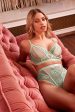 Fenella Aqua Lace and Net Longline Bra For Sale