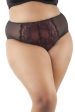 Draper Wine Lace Shortie Supply