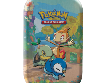 Pokemon TCG: Celebrations Mini Tin - Turtwig, Chimchar & Piplup For Sale