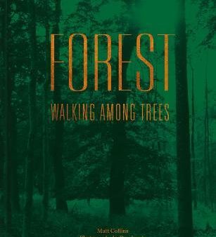 Forest: Walking Among Trees Sale